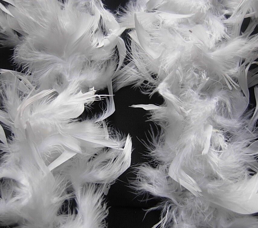 2M FEATHER BOA COSTUME ACCESSORY FANCY DRESS BURLESQUE