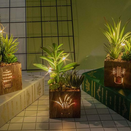 Set of 3 Artificial Succulents with Led Lights in Wooden Box, Artificial Plants