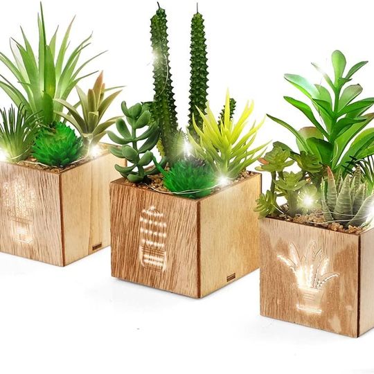 Set of 3 Artificial Succulents with Led Lights in Wooden Box, Artificial Plants