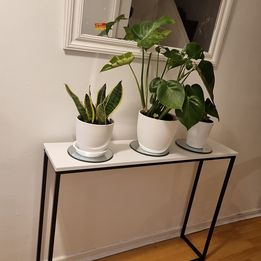 💥Wooden Hallway Console Table with Metal Legs (White)💥