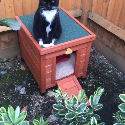 NEW Pet House /Puppy /Rabbit /Guinea Pig Wooden Hide House, 50cm (L) x 42cm (W) x 43cm (H)