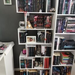 NEW Bookcase White Book Shelf 6 Storage Cubes Unit Tall Freestanding Bookcase