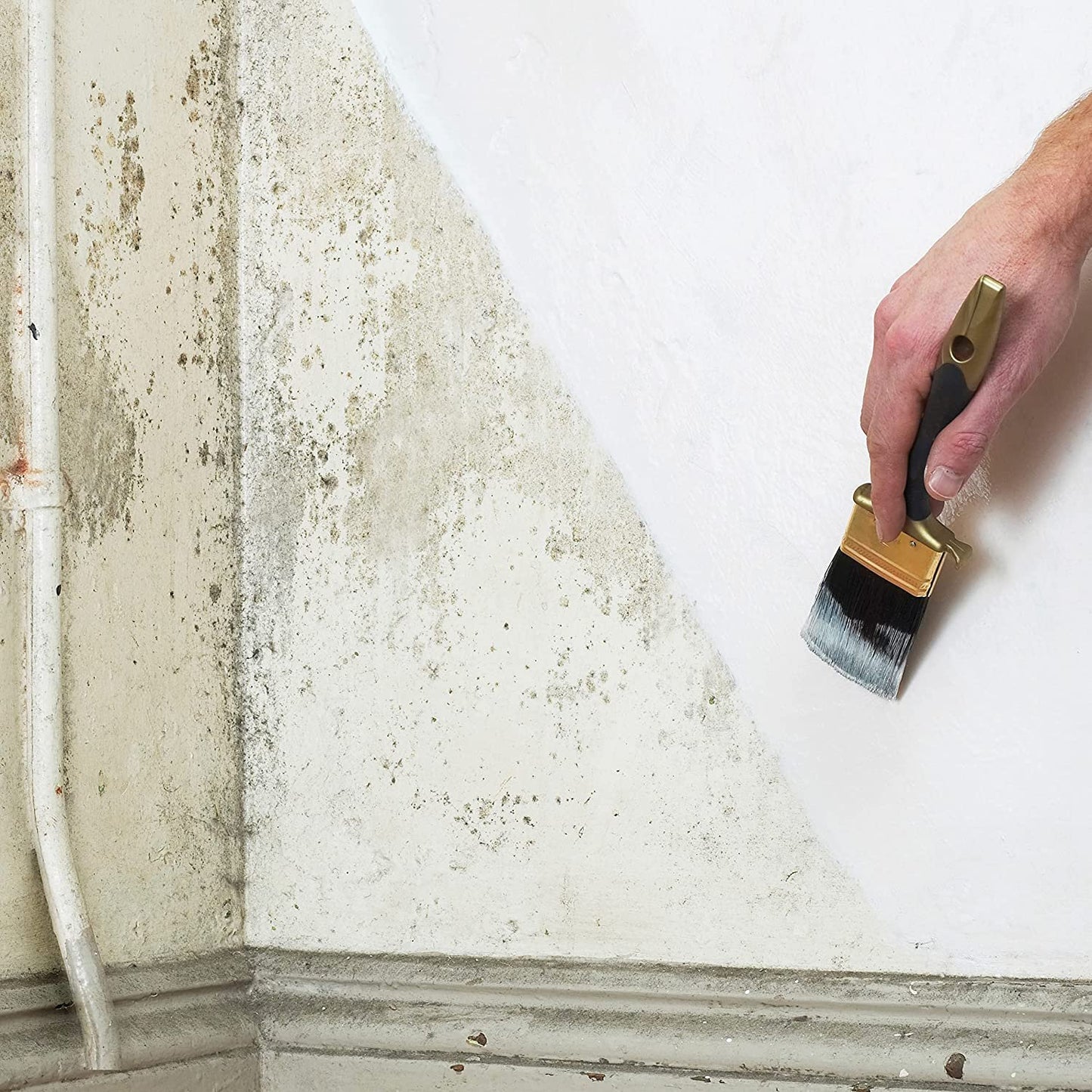 Johnstone's 307955 Paint to Cover Damp White, 750ml