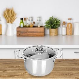 5PC Stainless Steel Cookware Casserole Stockpot Pans Set With Glass Lids Kitchen