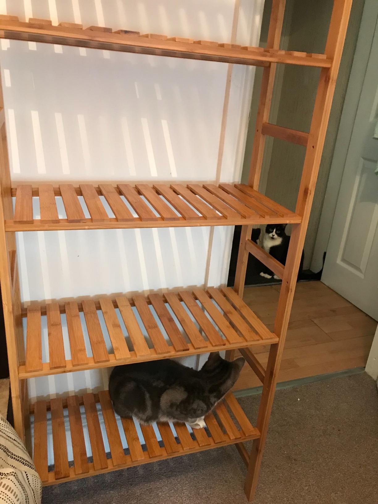 NEW! Bathroom Kitchen Storage Bamboo 5 Shelves Adjustable Floor Height Flower Stand