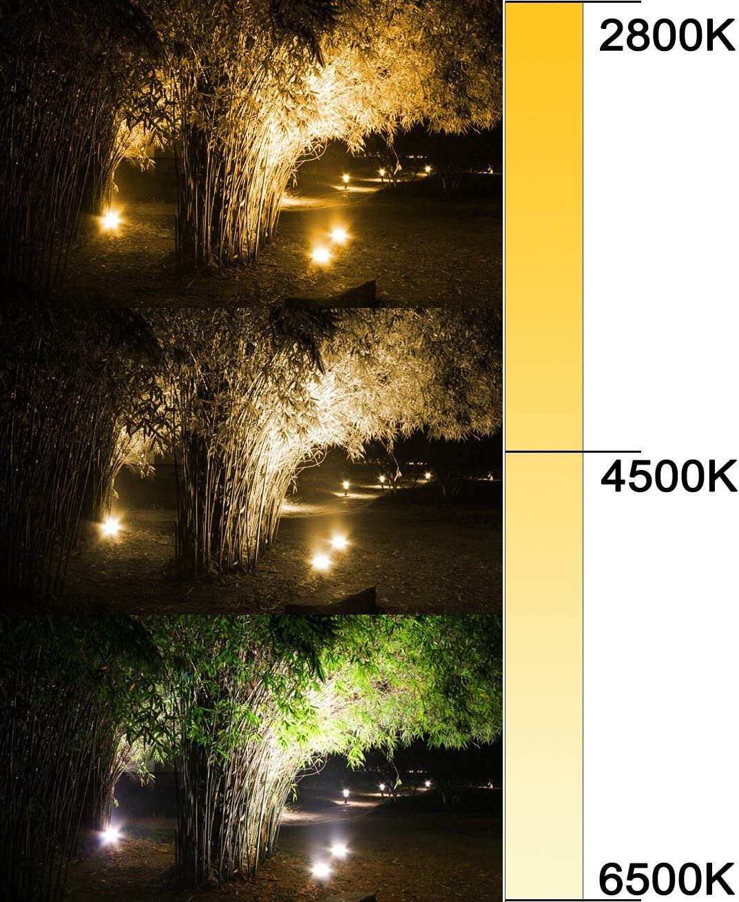 15W LED Floodlight Outdoor/Indoor Colour Changing Flood Lights with Remote Control