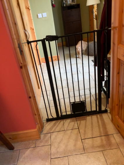 Pet Gate with Lockable Cat Flap Pressure Fitted to 75cm - 148.7cm Stair