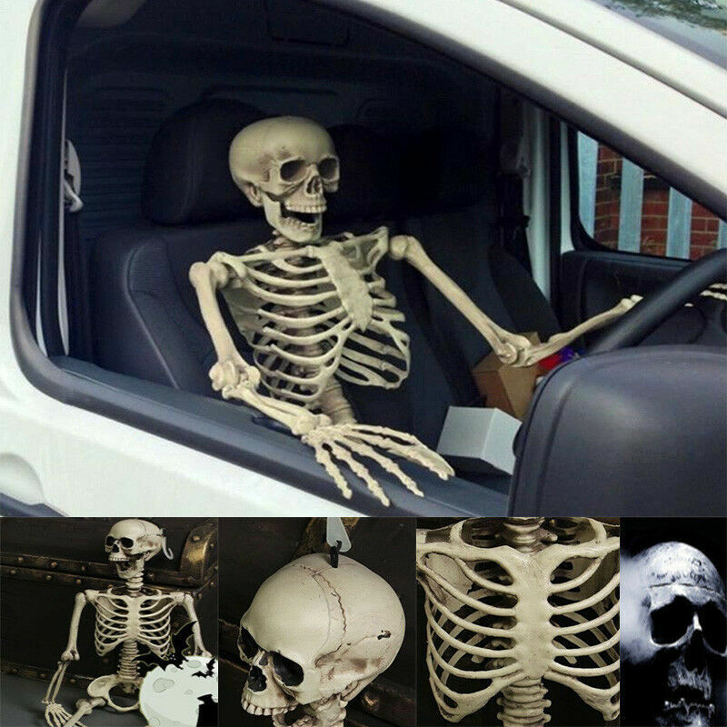 Halloween Real Life Size Human Skeleton Model Perfect Decoration Bones Decor