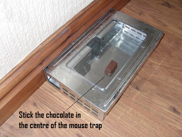 Mouse Trap Humane Reusable Multi MICE Catch PEST Control Mice Catcher