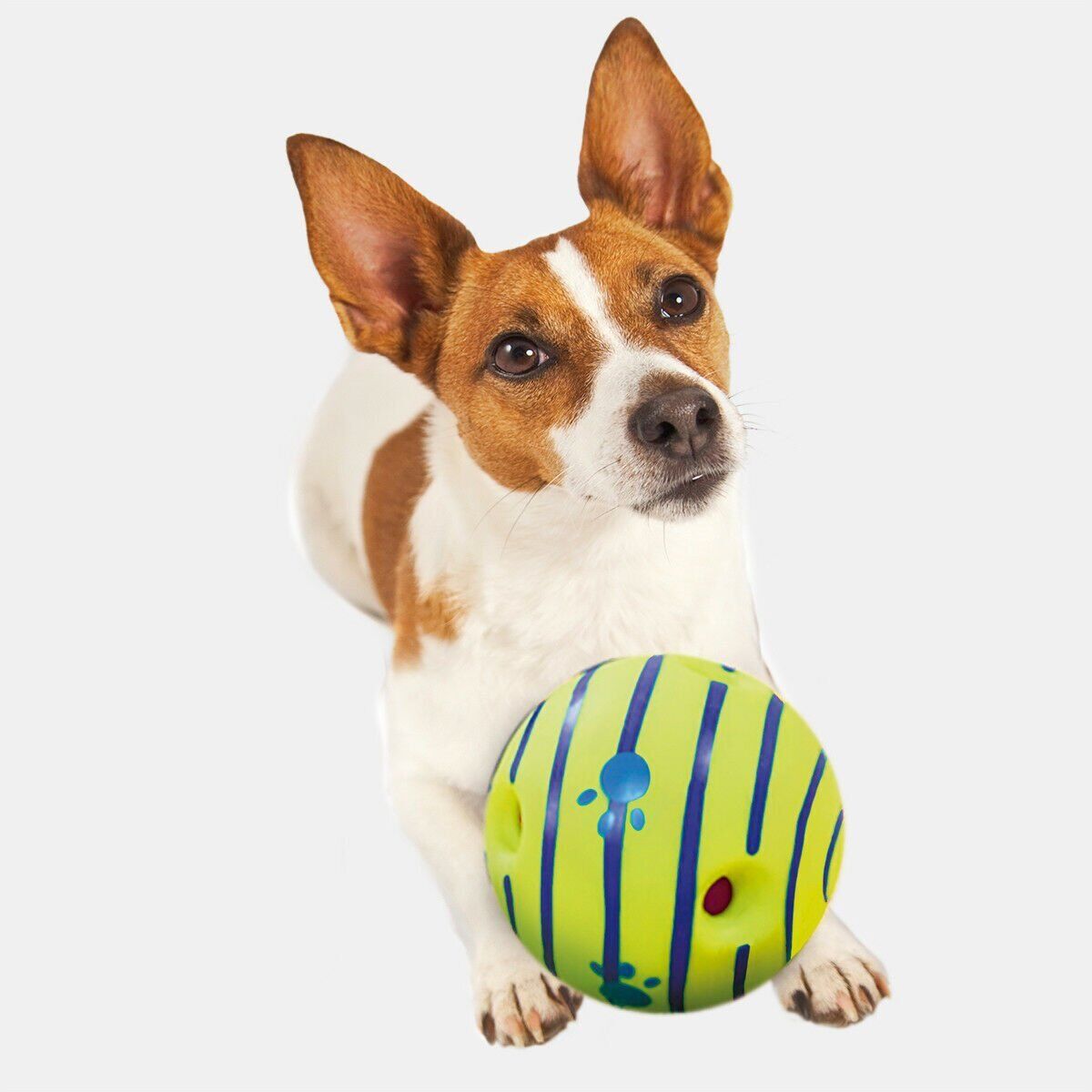Wobble Wag Giggle Ball Dog Doggy Indoor Outdoor Pet Toy Rolling with Funny Sound