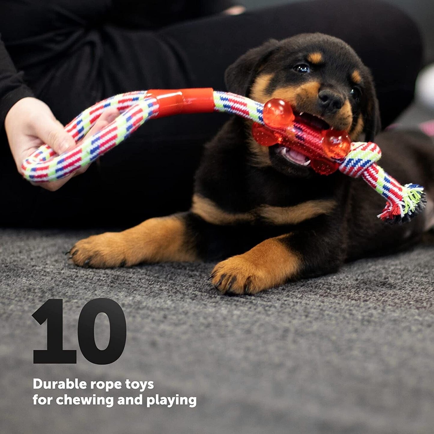 10 Pcs Dog Rope Toys Set Tough Strong Chew Knot Toys Puppy Bear Cotton Pet Toys