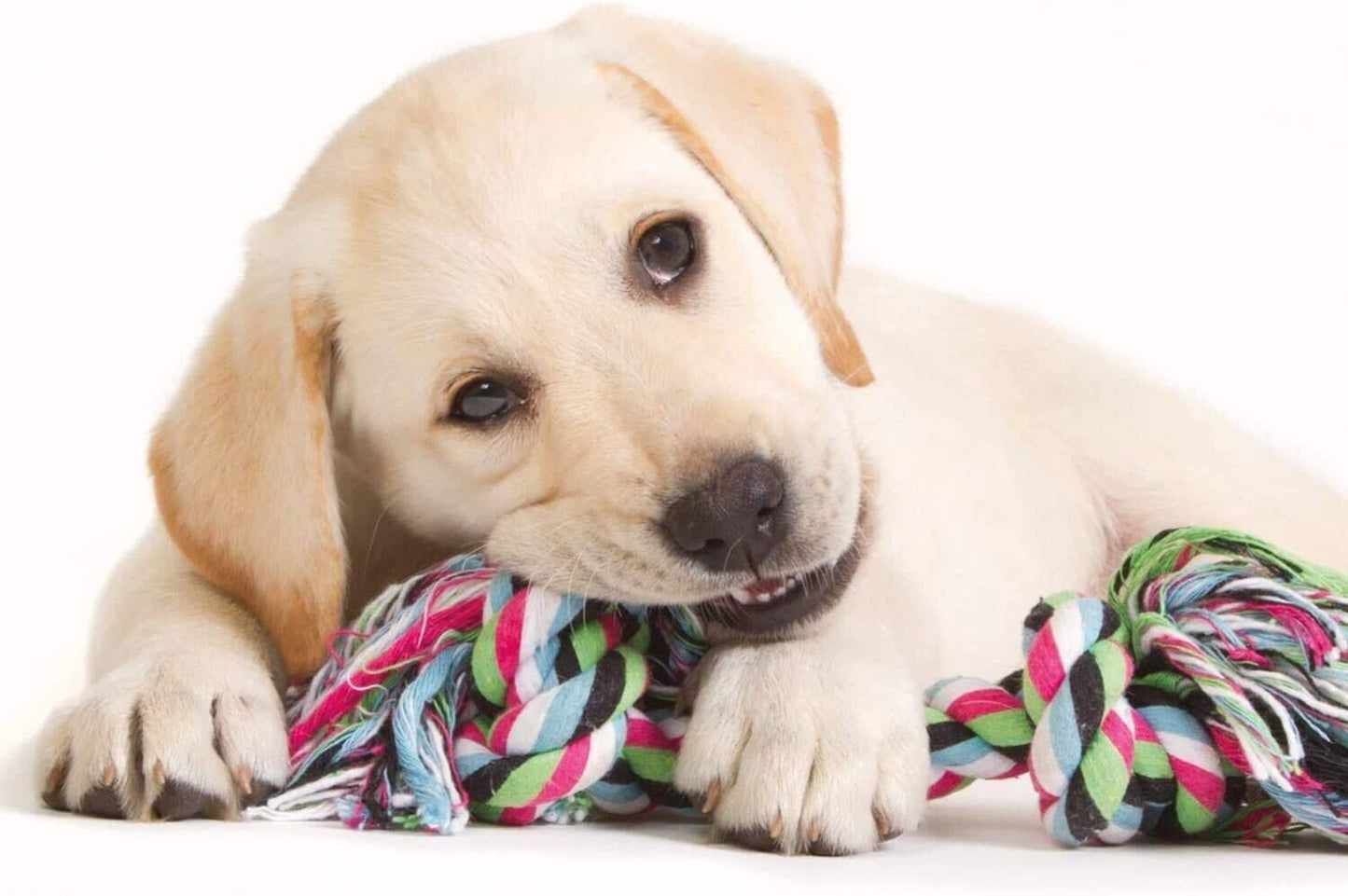 10 Pcs Dog Rope Toys Set Tough Strong Chew Knot Toys Puppy Bear Cotton Pet Toys