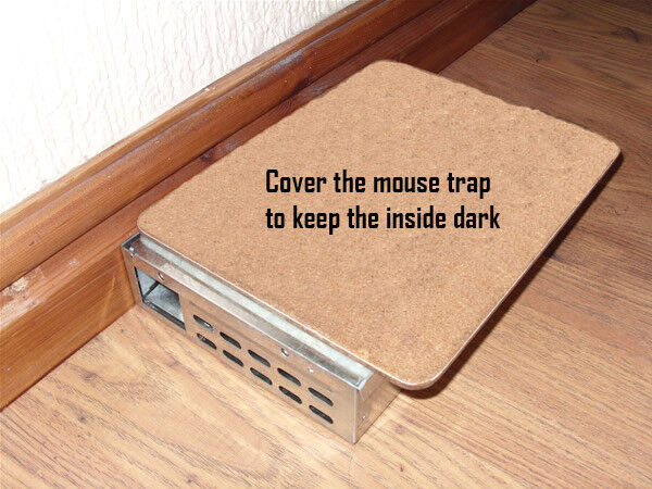 Mouse Trap Humane Reusable Multi MICE Catch PEST Control Mice Catcher