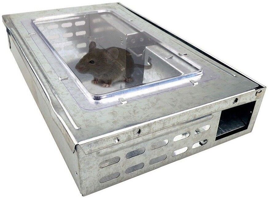 Mouse Trap Humane Reusable Multi MICE Catch PEST Control Mice Catcher