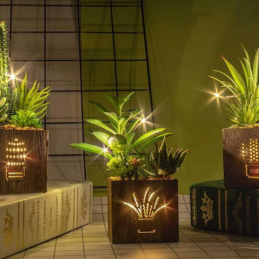 Set of 3 Artificial Succulents with Led Lights in Wooden Box, Artificial Plants