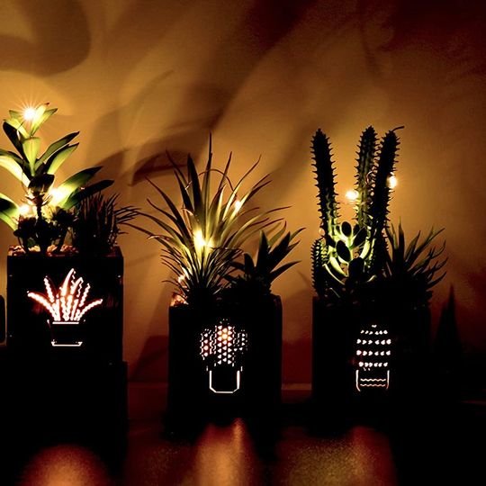 Set of 3 Artificial Succulents with Led Lights in Wooden Box, Artificial Plants