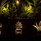 Set of 3 Artificial Succulents with Led Lights in Wooden Box, Artificial Plants