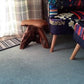 NEW! Solid Teak Root Wood Coffee Table Rustic Charm Weather-Resistant Home Decor