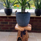 NEW! Solid Teak Root Wood Coffee Table Rustic Charm Weather-Resistant Home Decor