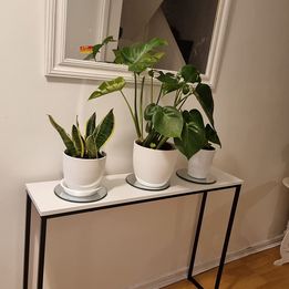 💥Wooden Hallway Console Table with Metal Legs (White)💥