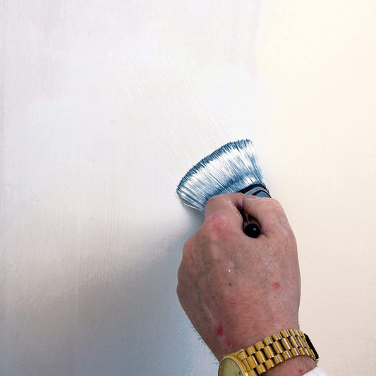 Johnstone's 307955 Paint to Cover Damp White, 750ml