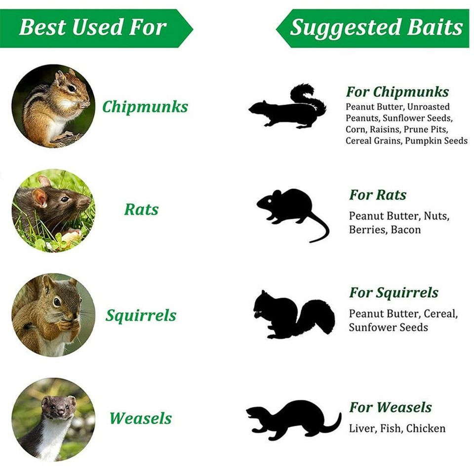 Heavy Duty Rat Squirrel Trap Metal Live Pest Catchers