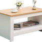 NEW Wooden Modern Coffee Sofa End Table wit Bottom Storage, Oak