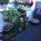 Wooden Plant Stands Indoor 6 Tiered Plant Shelf Triangular Plant Pot Stand Flower Rack