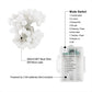 Outdoor Fairy Lights [Remote & Timer] 33FT/10M 100Leds 8 Modes Waterproof Battery Powered