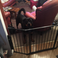 Baby Safety Fence Room Divide Metal Fire Gate Pet Dog Cat Fireplace 74*29inch
