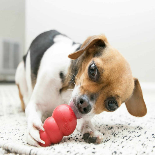 KONG Large Red Classic Dog Toy Toughest Natural Rubber Chew