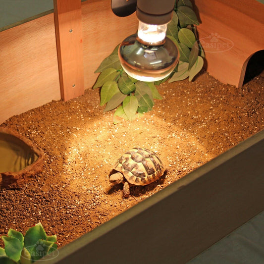 Tortoise Table Small Pet Reptile Wooden House Hide Shelter Den with Run Easipet 5060477743812