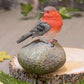 Robin Perched On Stone Ornaments Red Breast Resin Garden Outdoor Patio Bird Lawn